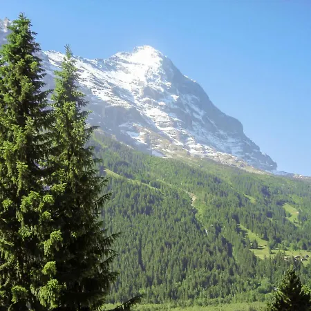 Apartment Chalet Casa Almis 5 By Interhome Apartment Grindelwald