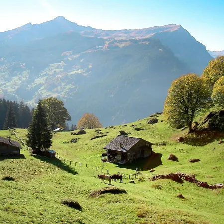 Almis 5 By Interhome Appartement *