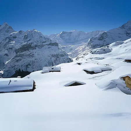 Apartment Apartment Chalet Casa Almis 5 By Interhome Grindelwald