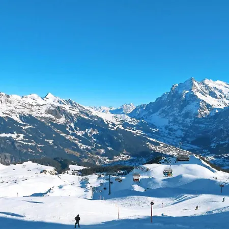 Apartment Chalet Casa Almis 5 By Interhome Grindelwald