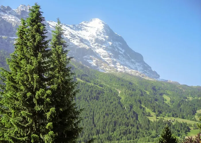 Almis 5 By Interhome Apartamento Grindelwald