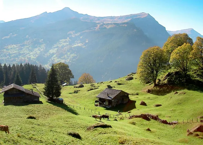 Almis 5 By Interhome Apartamento *